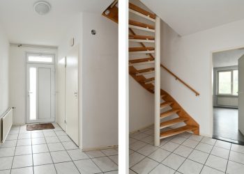 kolibri-7636105-5-KoWDiO1MhKASG1eU3onmw.jpg