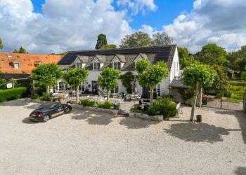 kolibri-7706909-2-7wBOwMFDFbZ5RnuTJqJNHw.jpg